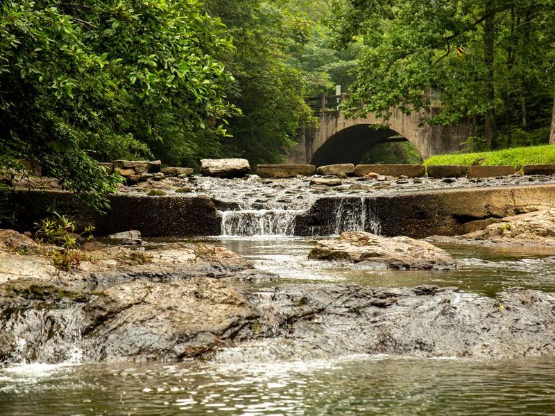 Gulpha Gorge Creek runs alongside the campground.