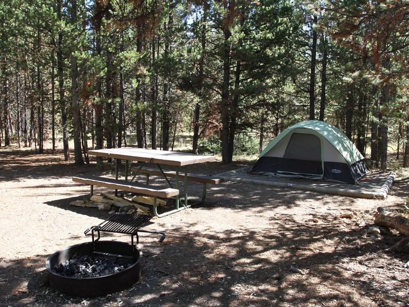 Indian Creek Campground site #56