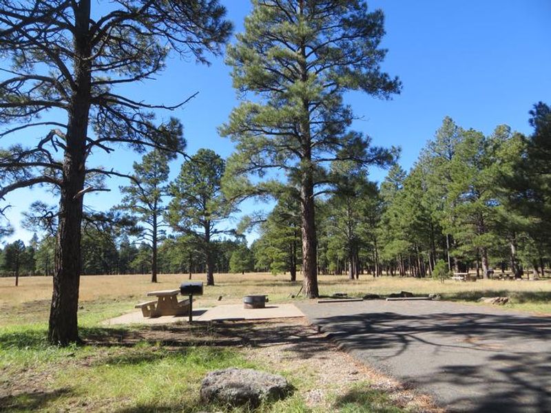 Pinegrove Campground Standard Site