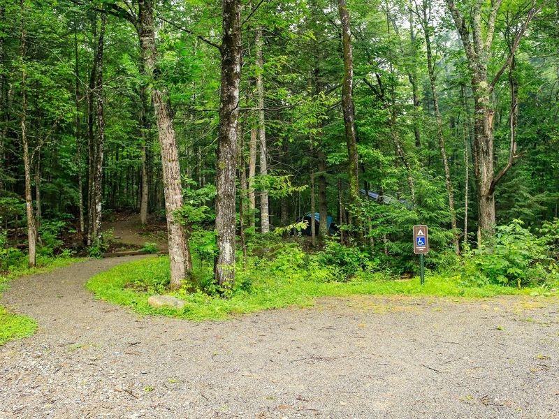 Lunksoos Campground offers one ADA campsite and parking.