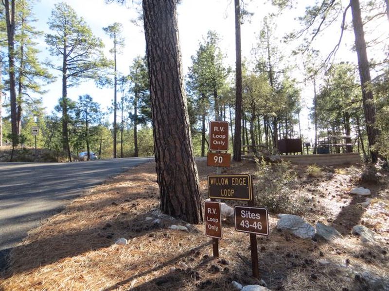 Rose Canyon Lake Campground