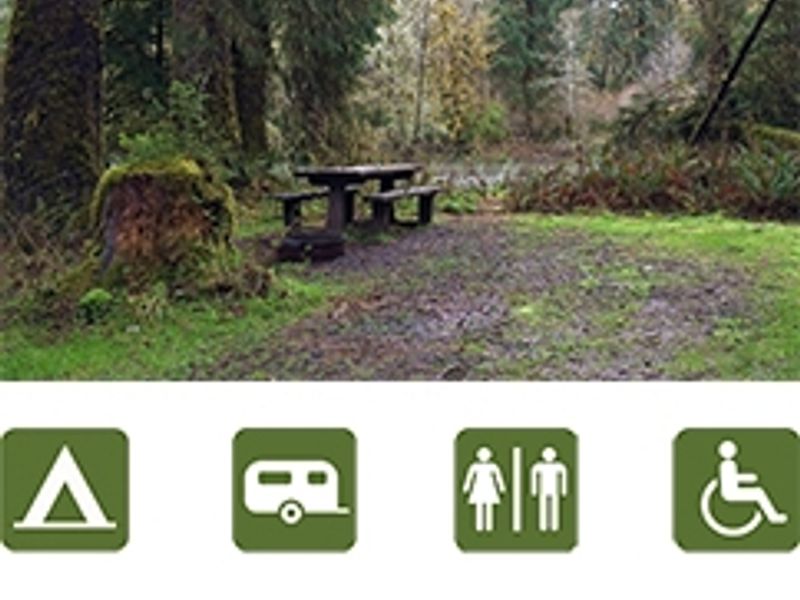 Picnic table in campsite at Ozette Campground.
