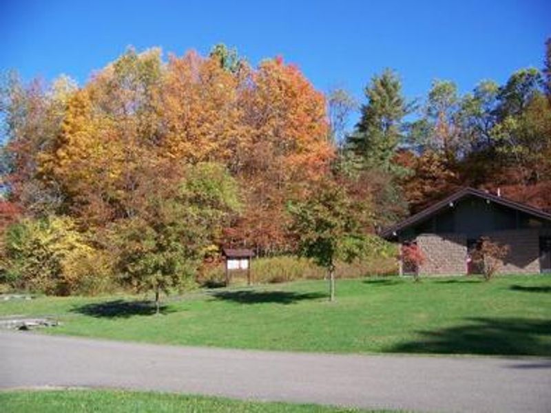 Fall at Willow Bay