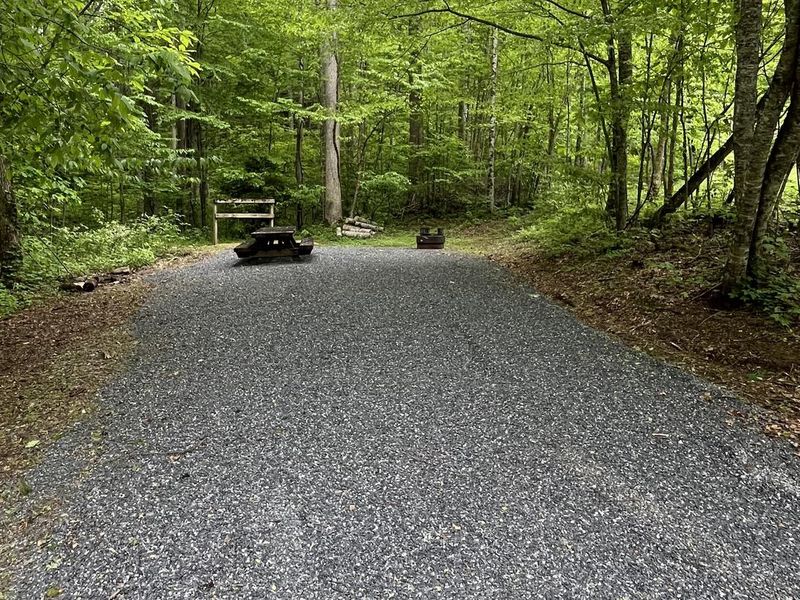 Campsite in Harmon Den 