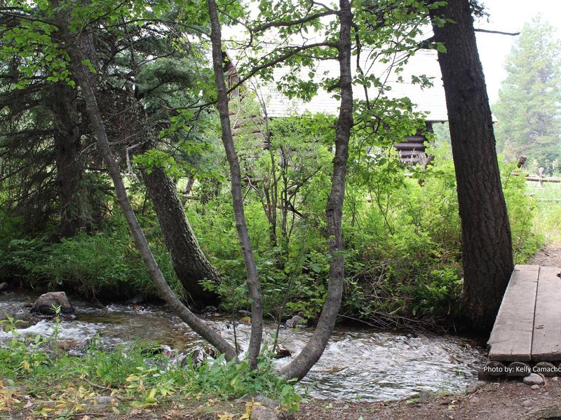 Creek behind the cabin 