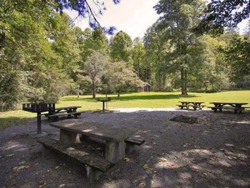Group of picnic tables and a fire ring. 