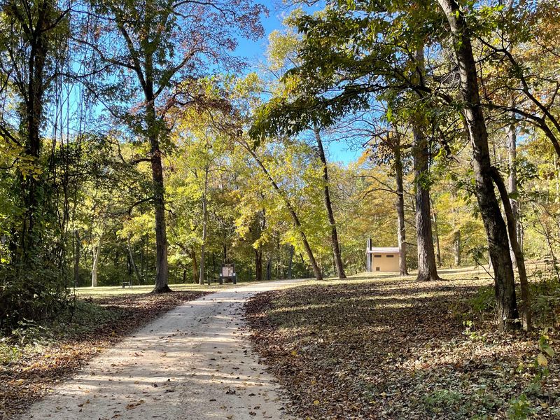 Log Yard Campground features a mixture of sun and shade.