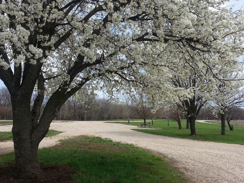 Rockhaven Park features plentiful parking for day use visitors.