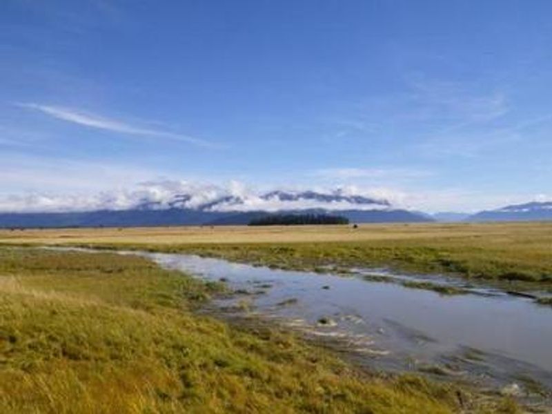 Little Dry Cabin scenery