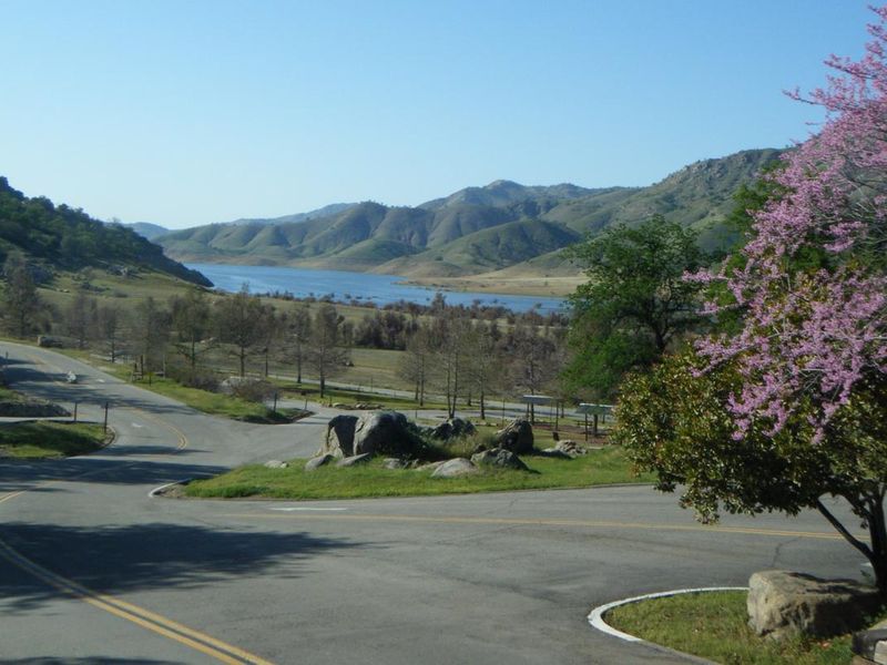 Spring time view from Fee Building Mar 2021