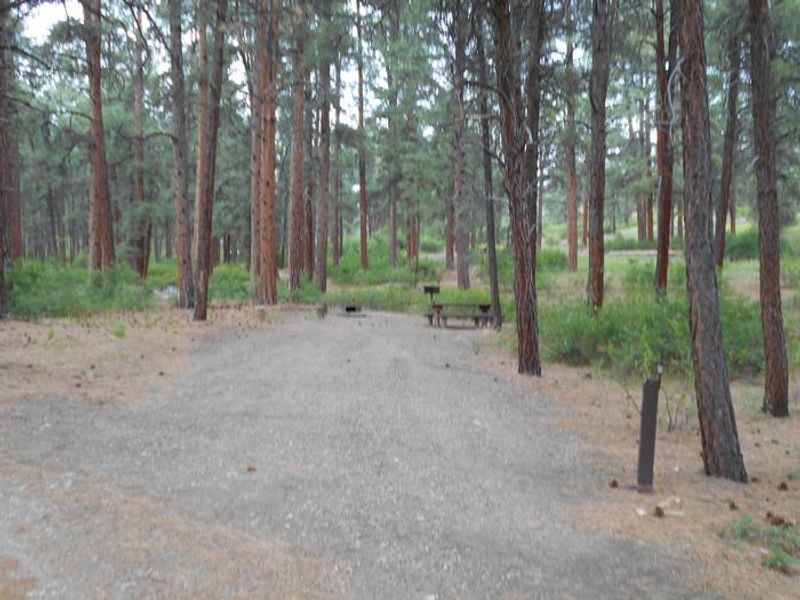 Ute Campground