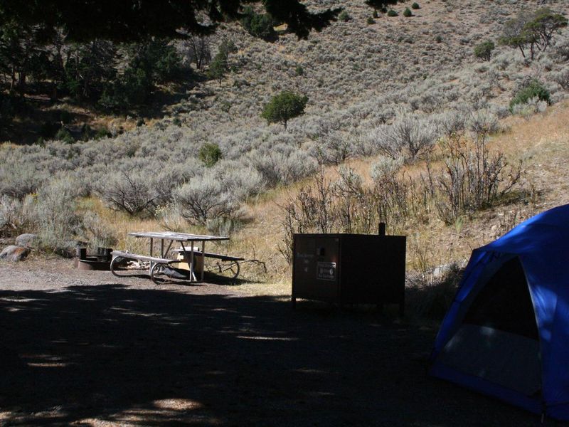 Mammoth Campsite #48
