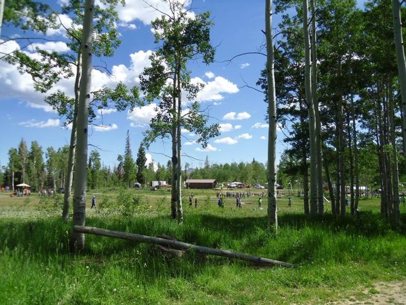 Loads of room to play