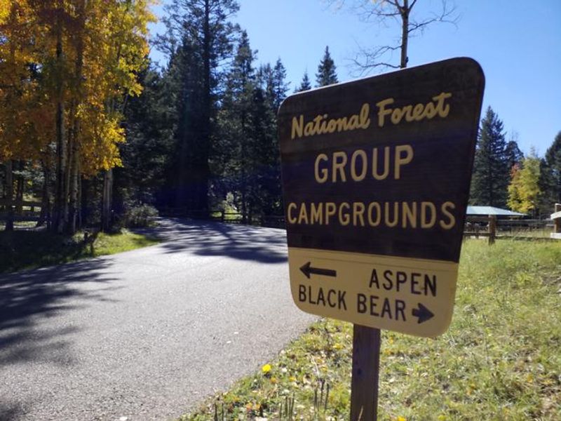 Black Bear Group Campground