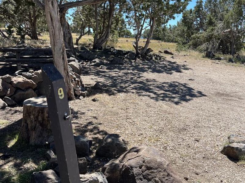 Forked Pine Campground - Site 9