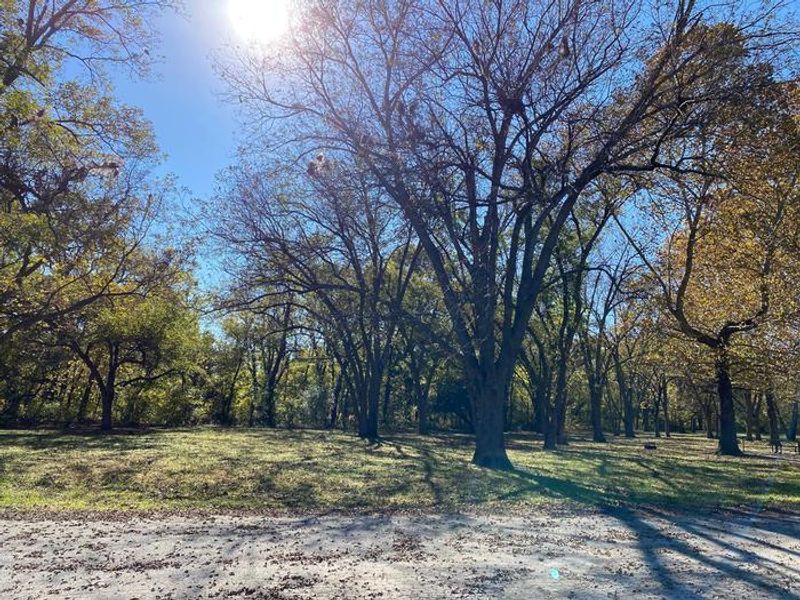 Enjoy a nice peaceful day in our park with great views of the river and large areas to enjoy outdoor activities. 