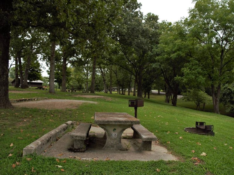 WILLOW GROVE CAMPGROUND TENT SITE