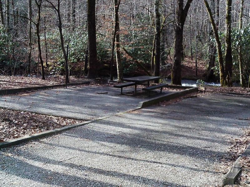 Welcome to Campsite #1