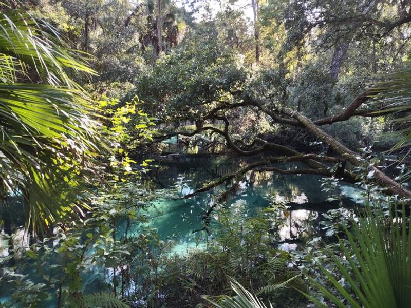 Enjoy our many beautiful areas away from the main swimming area. 