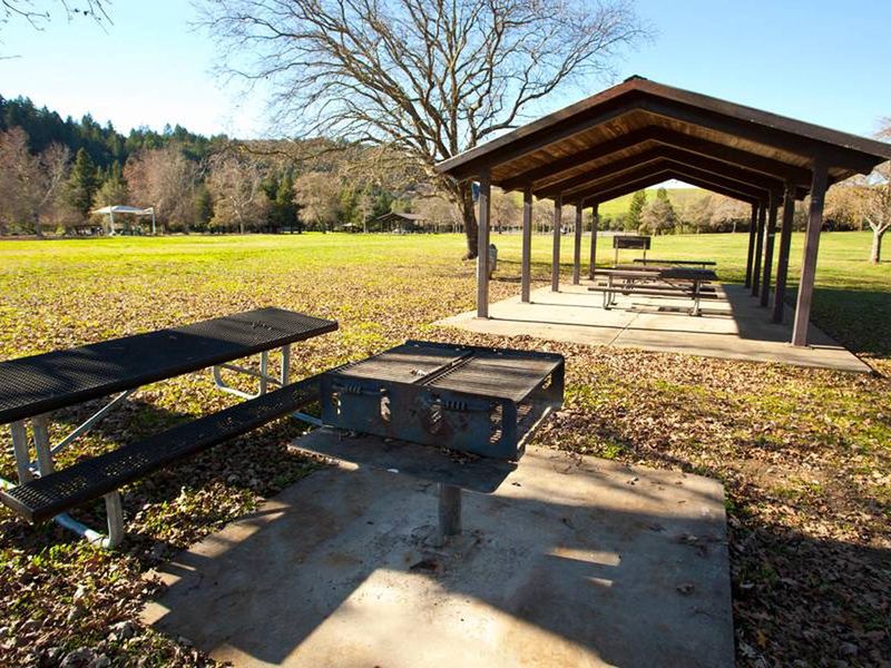 Willow Field Group picnic #5