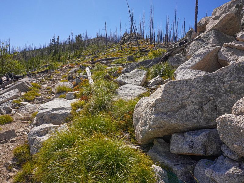 Another view looking up the trail to lookout