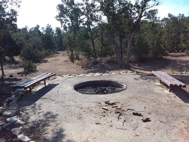 Seating around a Fire Pit surrounded by Cibola Forest
