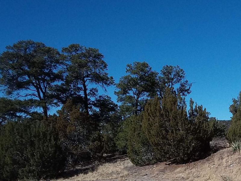  Coal Mine Campground