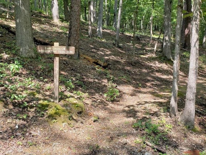 The short Charlton Campground Interpretative Trail offer visitors a short hike of 8/10's of a mile to walk through the trees and learn more about the area environment and vegetation.