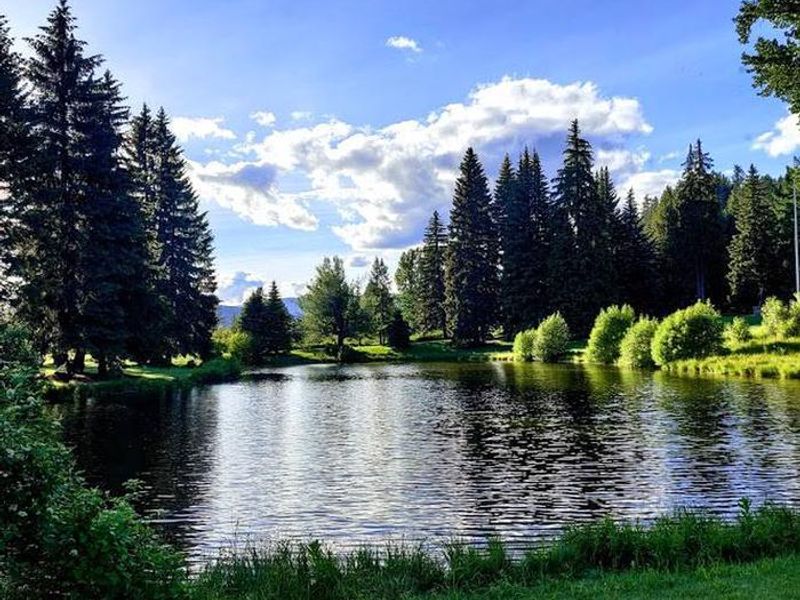 Savenac Pond in Front
