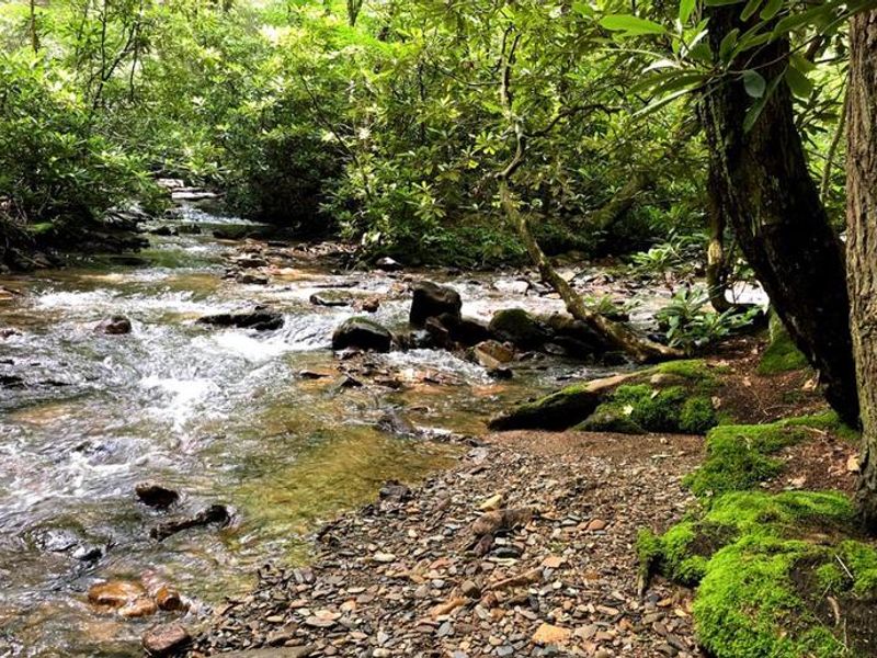 Views of Hurricane Campground 