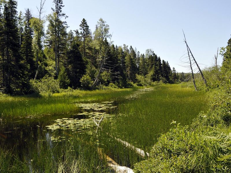 This view greets many backpackers and paddlers heading from McCargoe Cove to Chickenbone Lake.