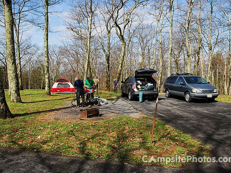 Lewis Mountain Campsite #22