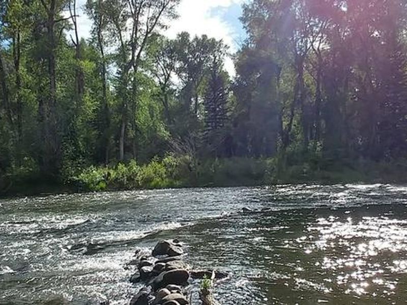 Conejos River from Mogote Campground