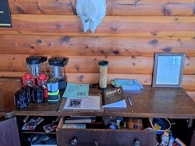 Lanterns and Entertainment