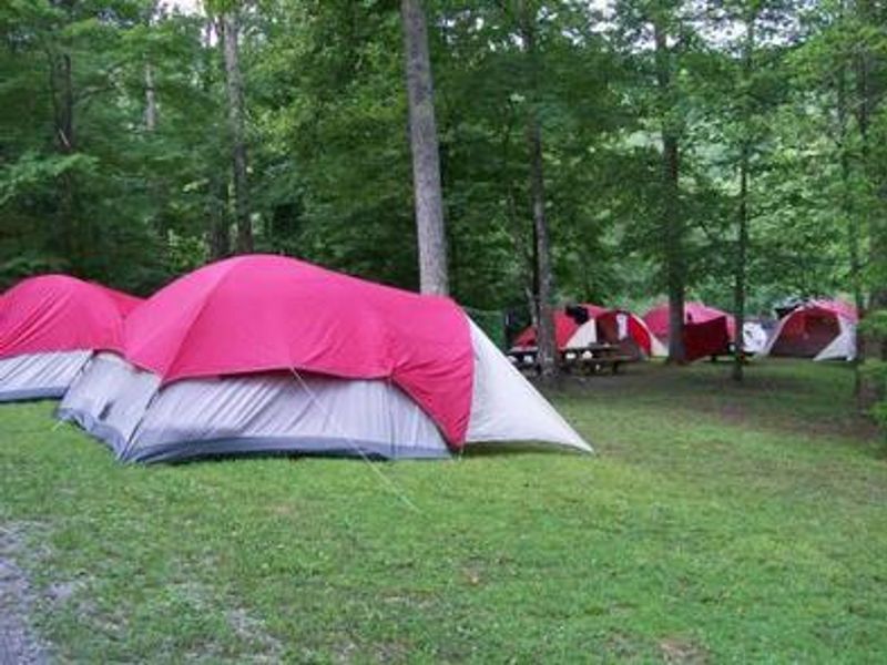 Tents pitched in campground