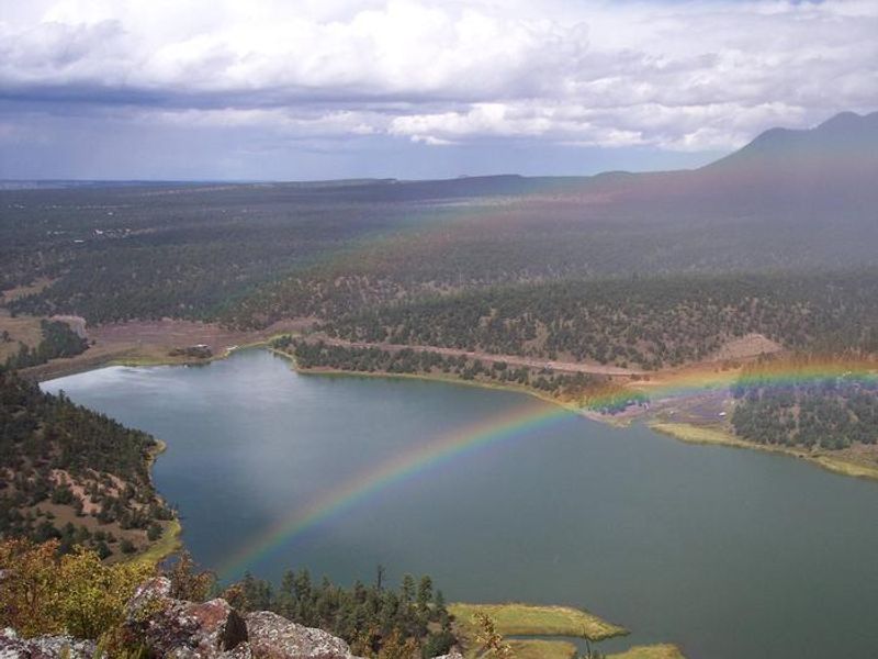 Quemado Lake near Juniper Campground