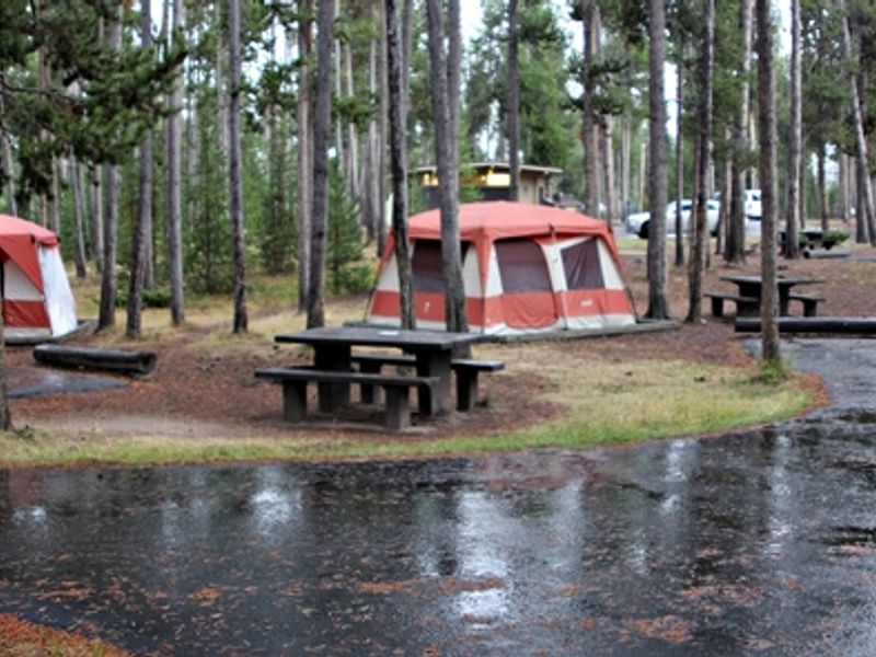 Tent sites at the Madison Campground