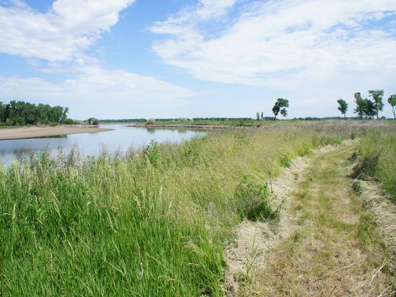 Bow Creek and mowed nature trail