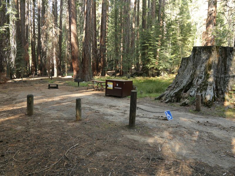 This accessible campsite features level, firm-packed surfaces.
