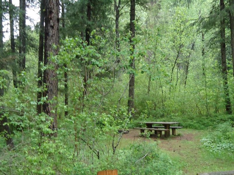 Trout Creek Campground