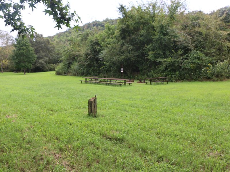 Erbie Campground Group Sites offer a large space for multiple tents to be pitched.