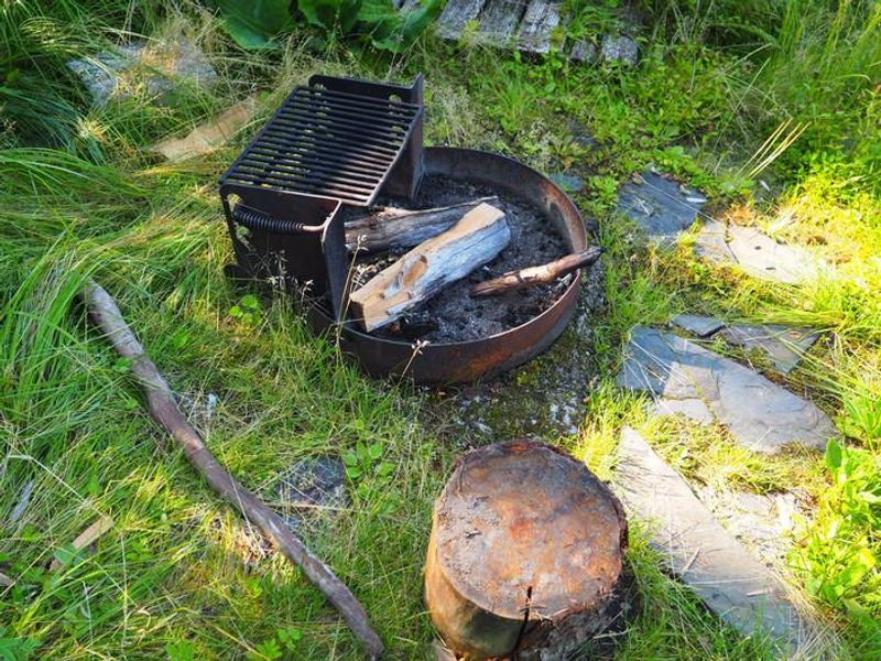 Virginia Lake Cabin firepit
