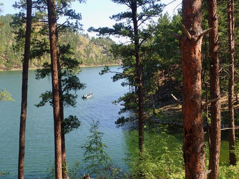 Sheridan Lake North Cove Group Campgrounds