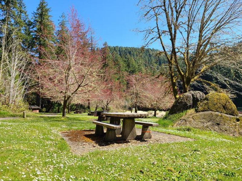 Look Lake Day Use picnic table on a sunny, blue sky day.