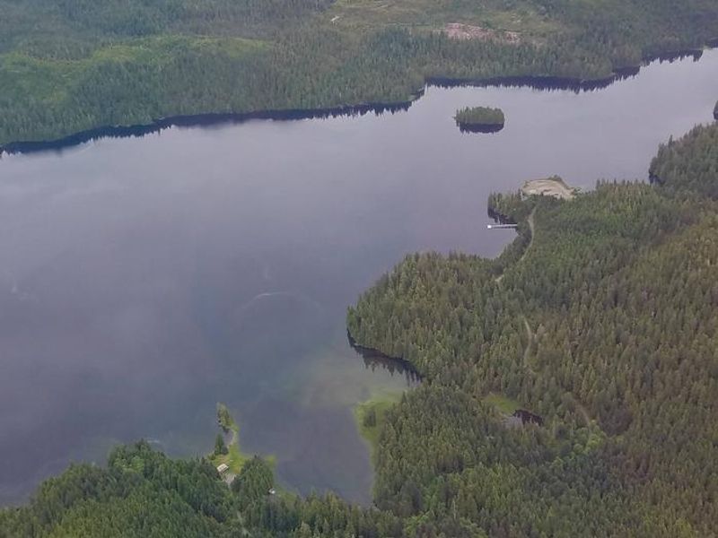 Aerial View of the area around Polk Camp Cabin on Polk Inlet.