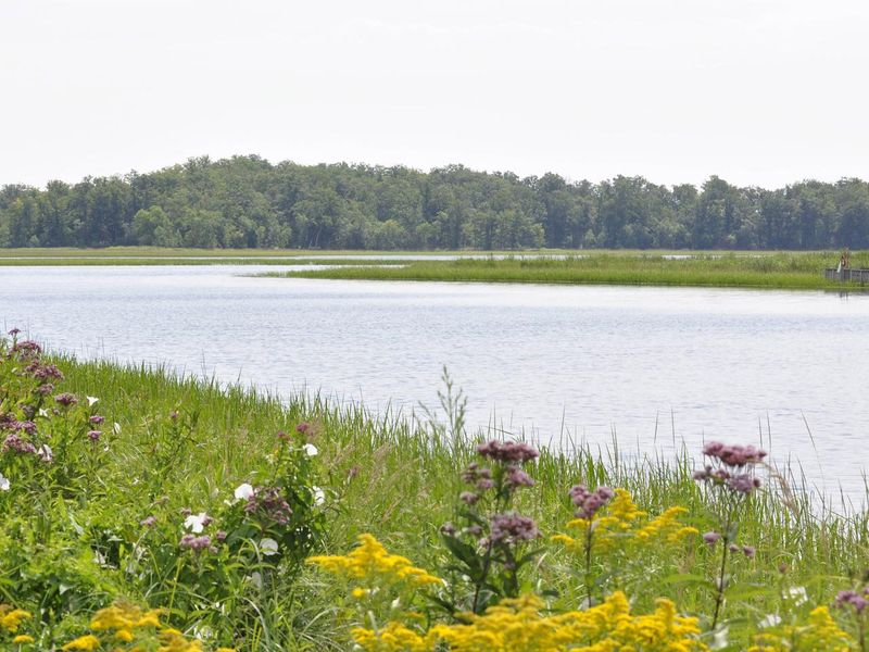 Sandy Lake as seen upstream of the dam