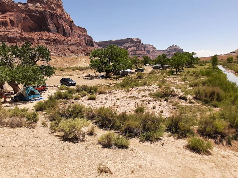 Occupied campsites with cottonwoods and along the San Rafael River