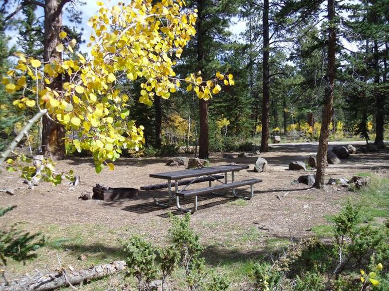 Lots of elbow room in this beautiful campsite located in the C loop.  OHV access to the trails from here.  