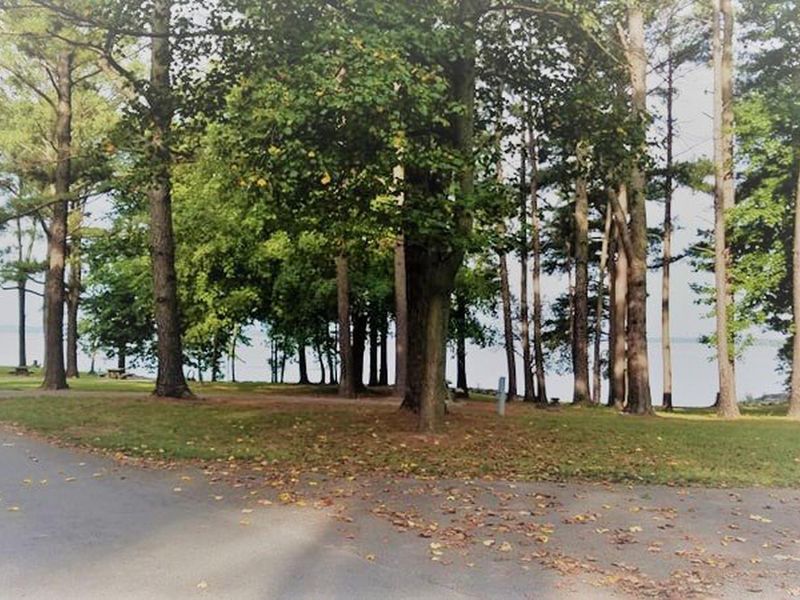 Eagle Loop Campsites within Gun Creek Campground