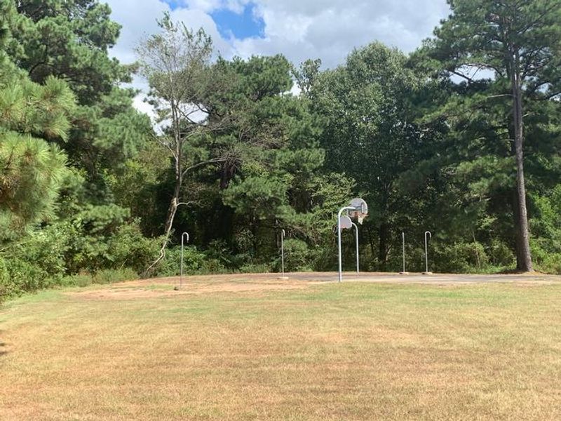 Basketball court